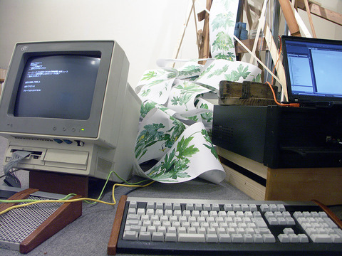 PICT2798.JPG