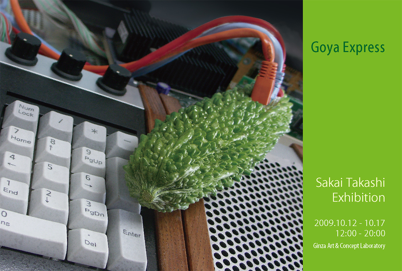 http://www.jijikuri.com/goyaexpress/DM2.jpg