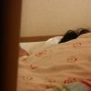 Thumbnail of post image 143