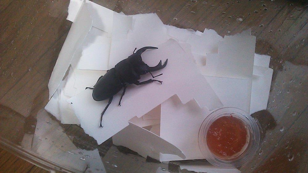 Thumbnail of post image 027