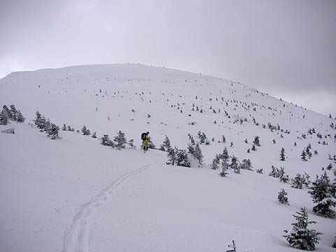 猫岳 山スキー スノーボード