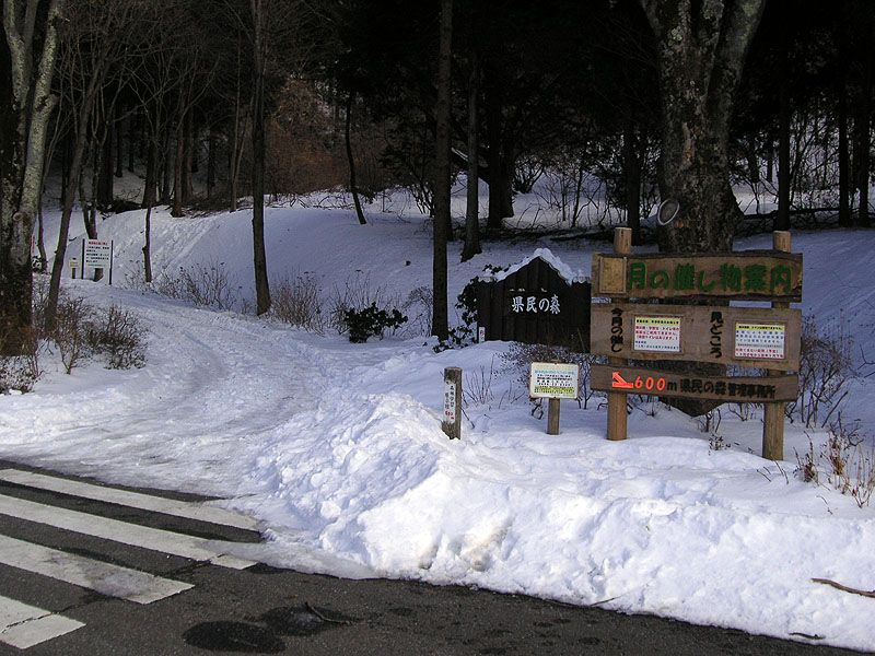 奥武蔵 県民の森 丸山 スノーボード