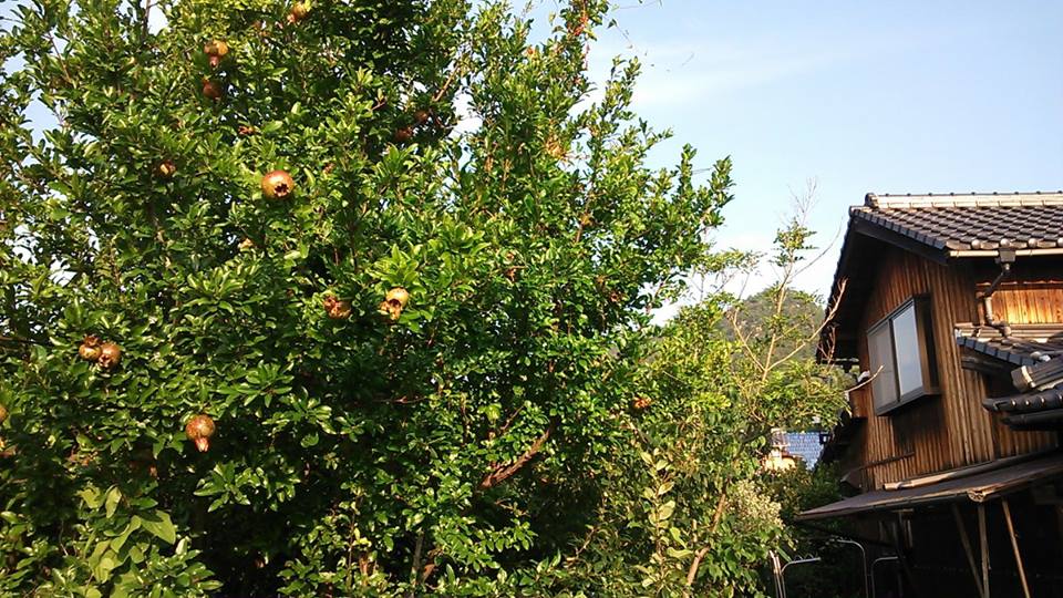 Thumbnail of post image 012