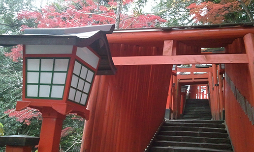 Thumbnail of post image 106