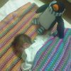 Thumbnail of post image 169