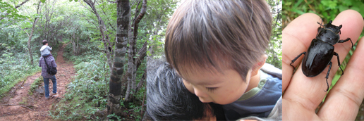 Thumbnail of post image 113