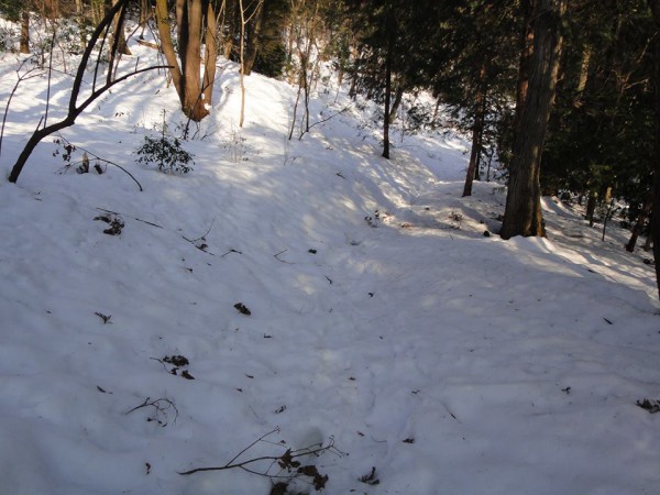 雪の狭山丘陵