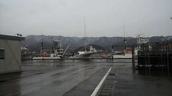 岩手県大船渡に来てます。冷たい雨。