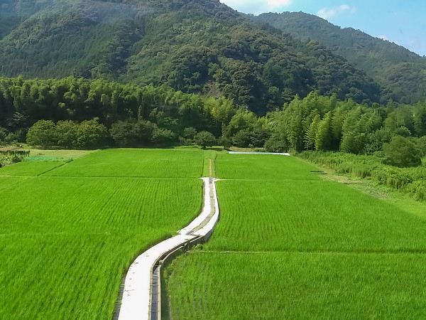 錦川清流線 車窓