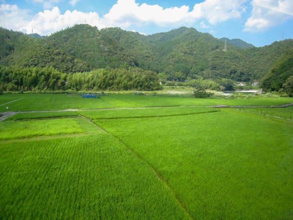 錦川清流線 車窓