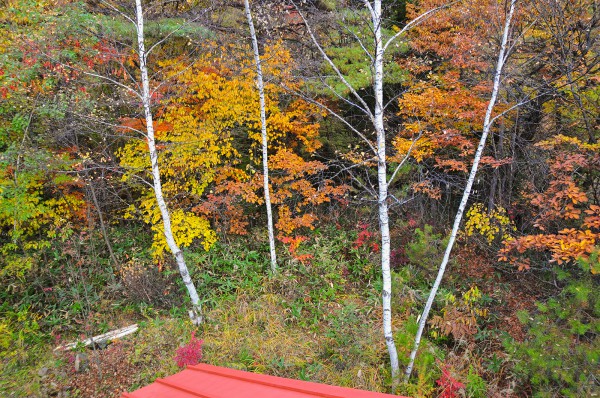 乗鞍高原 紅葉