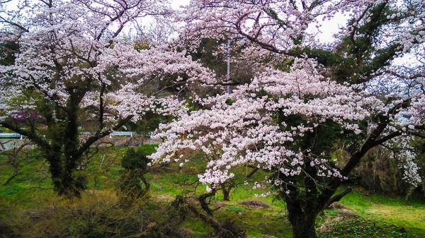 黒山三滝