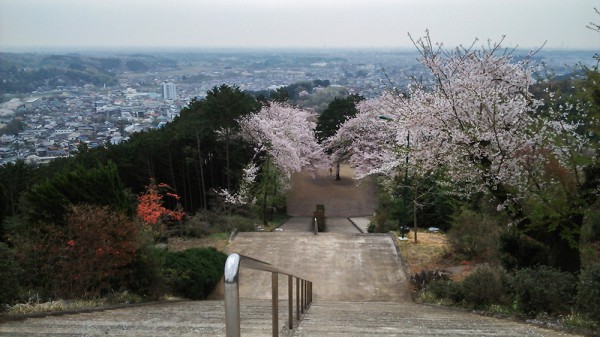 越生 さくらの山公園