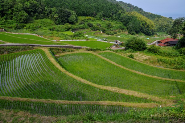 山田