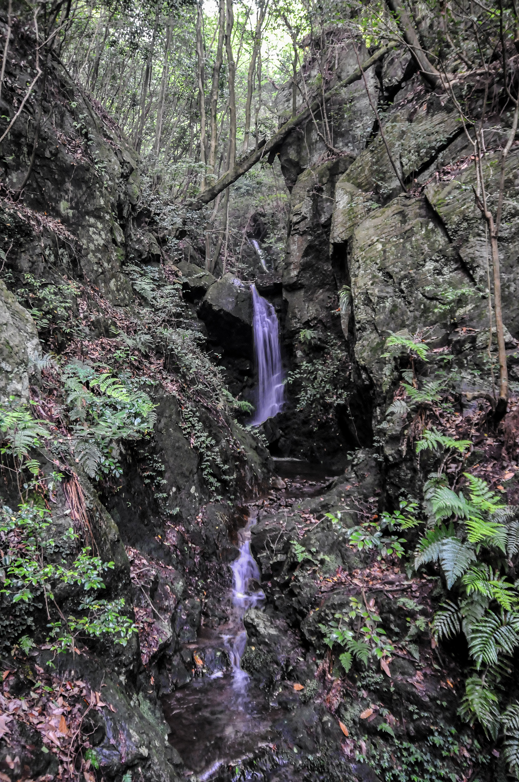 Thumbnail of post image 135