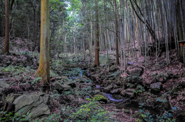 清霧の滝