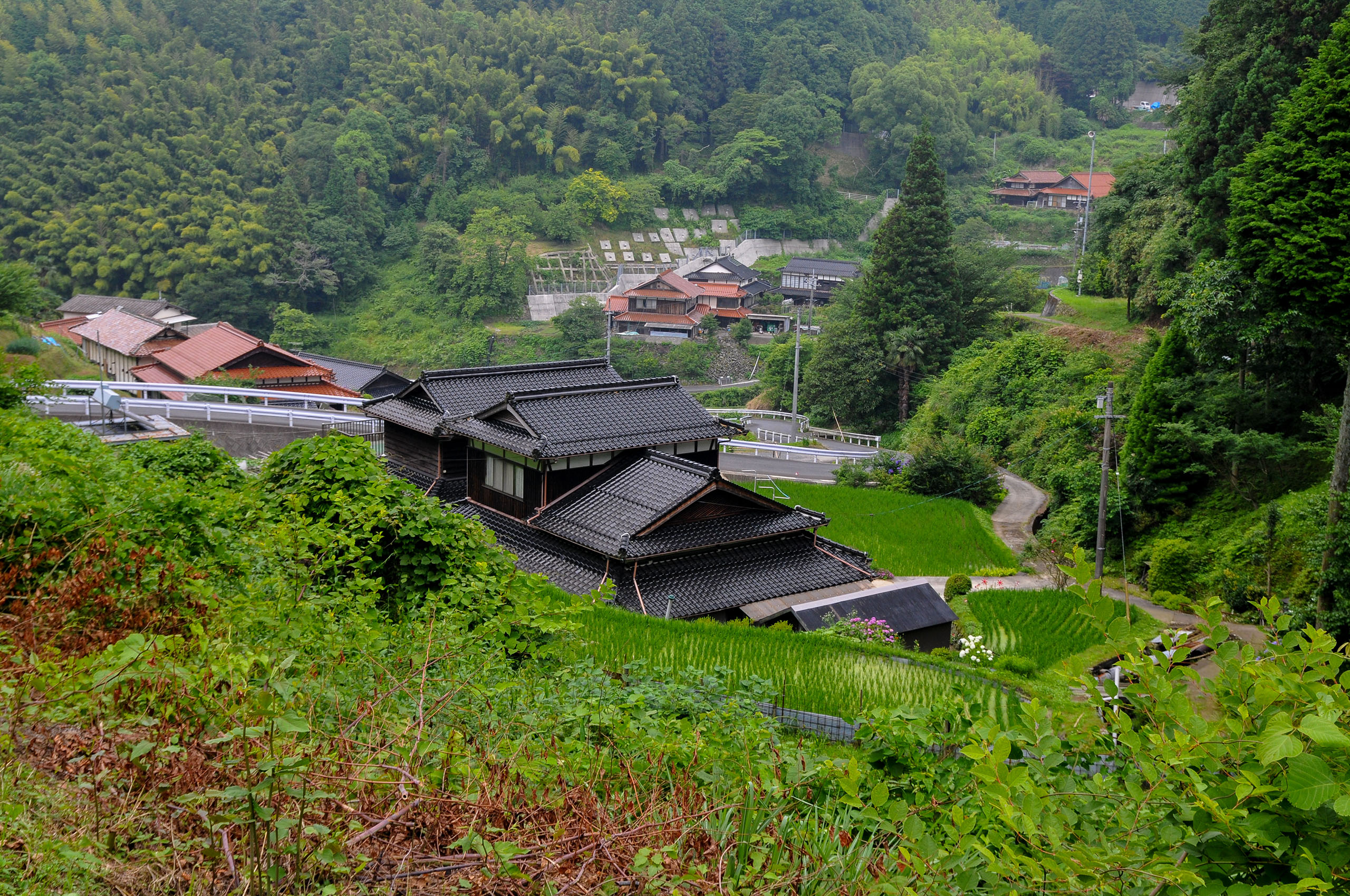 Thumbnail of post image 083