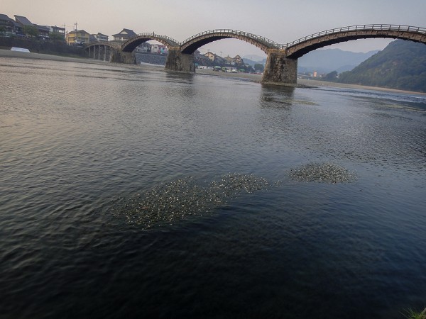 錦帯橋