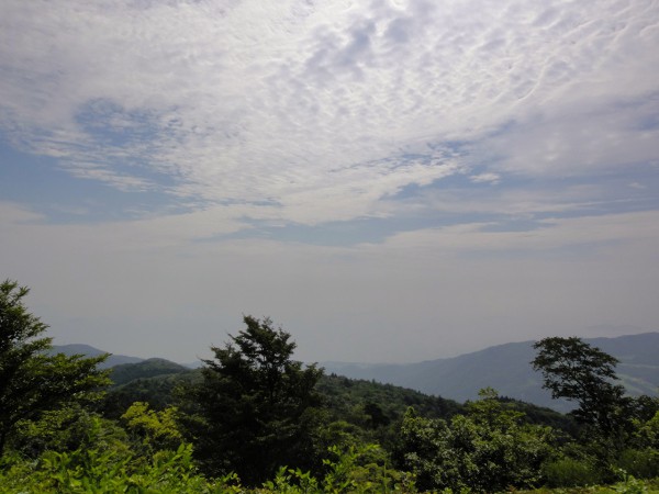 高照寺山