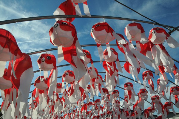 金魚ちょうちん祭り