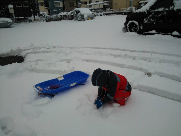 所沢 大雪