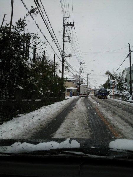 所沢 大雪