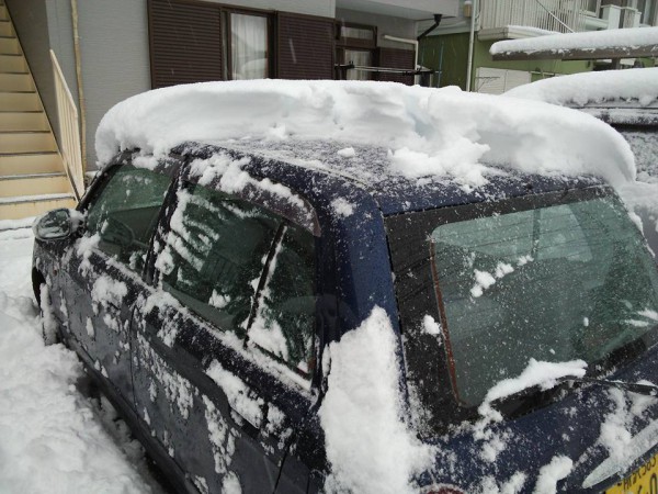 所沢 大雪