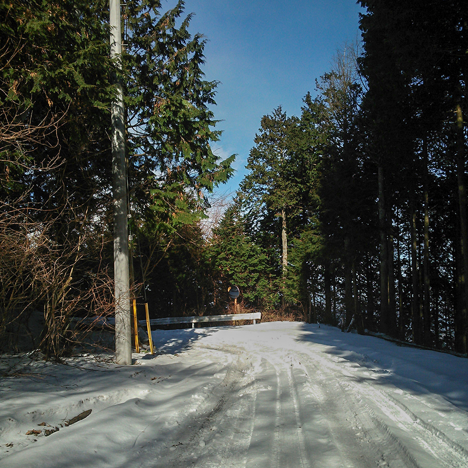 Thumbnail of post image 040