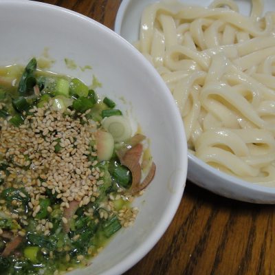 すったてうどん