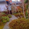 Thumbnail of post image 008