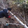Thumbnail of post image 058