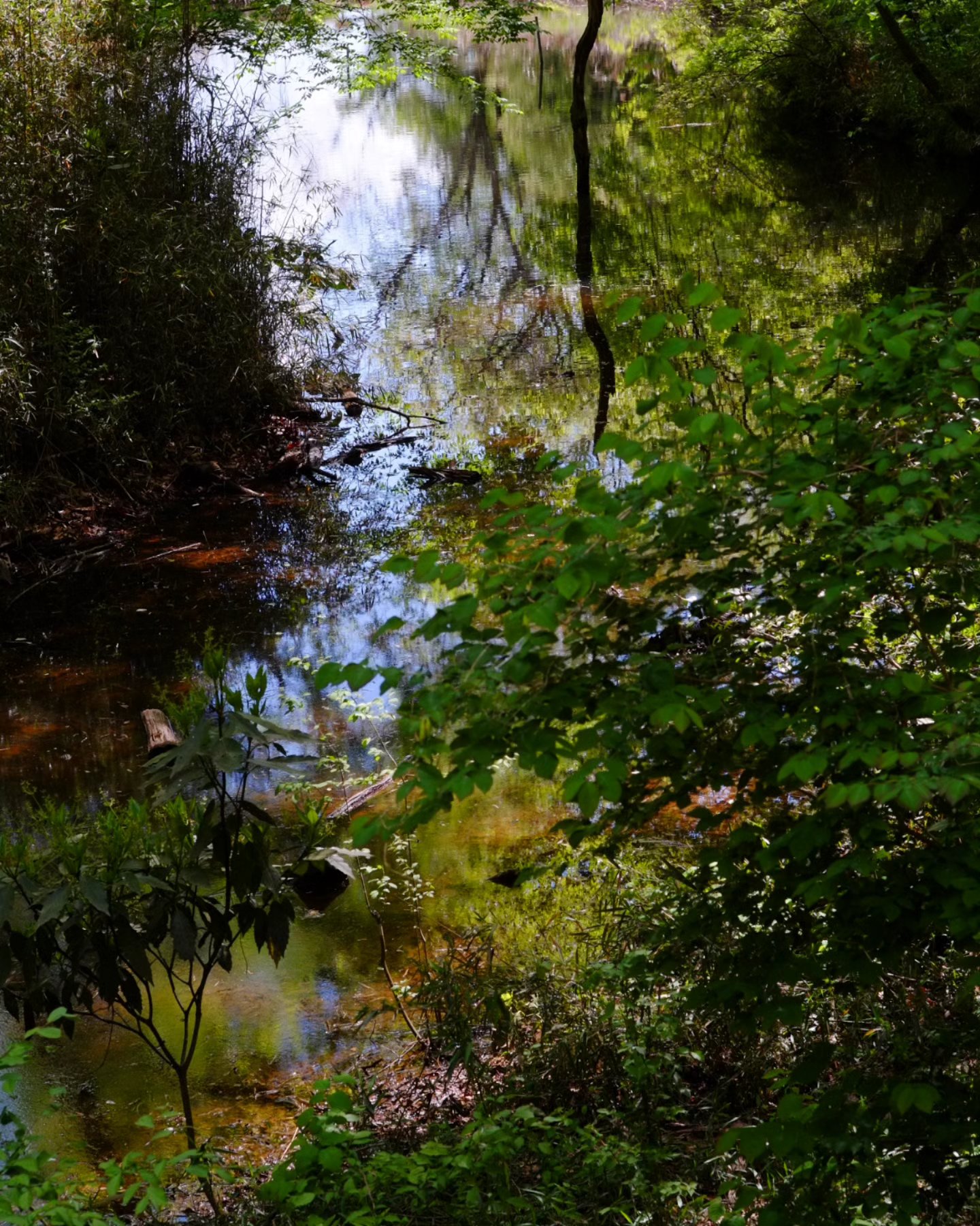 Thumbnail of post image 058