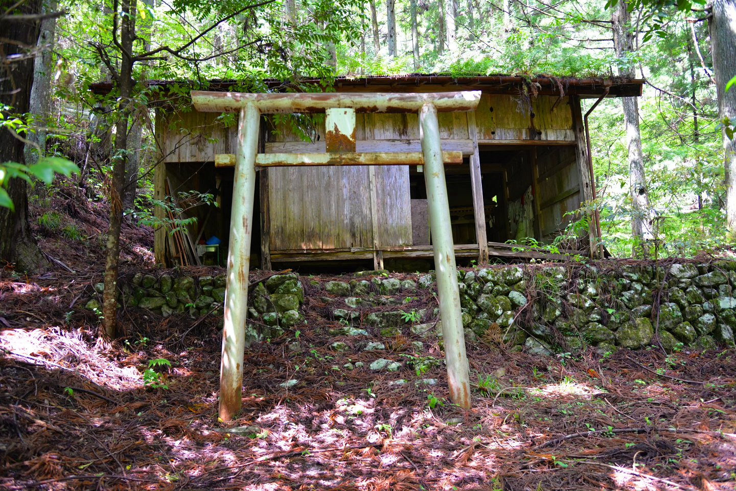 Thumbnail of post image 076