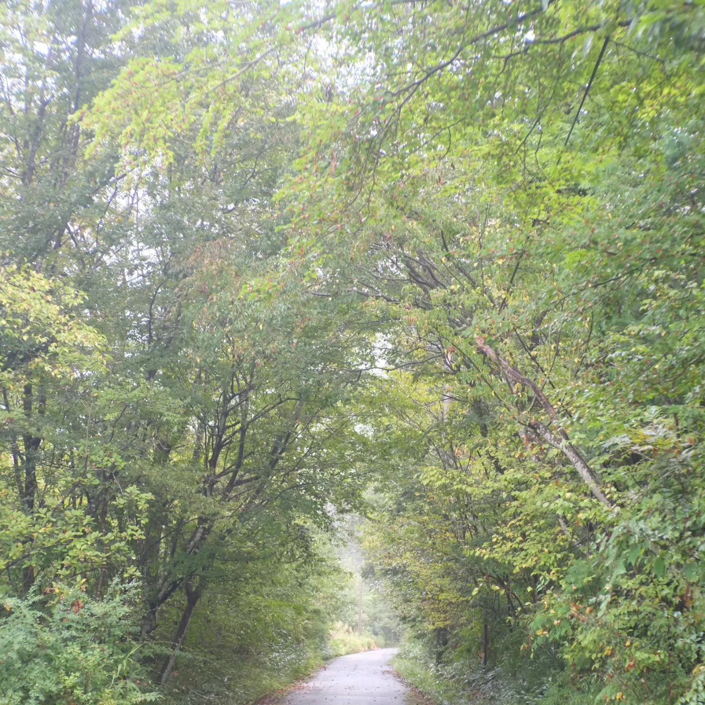 Thumbnail of post image 190