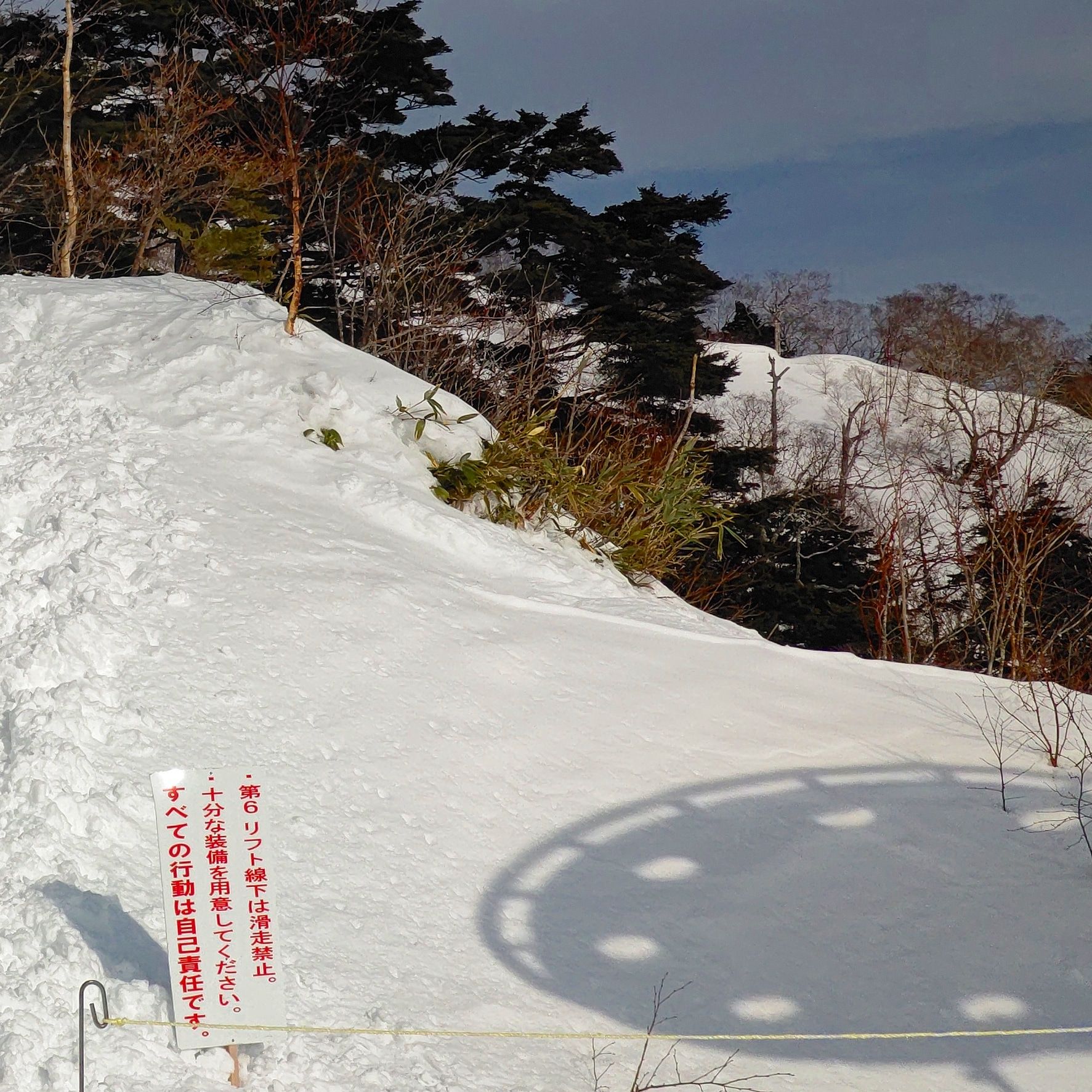 Thumbnail of post image 118