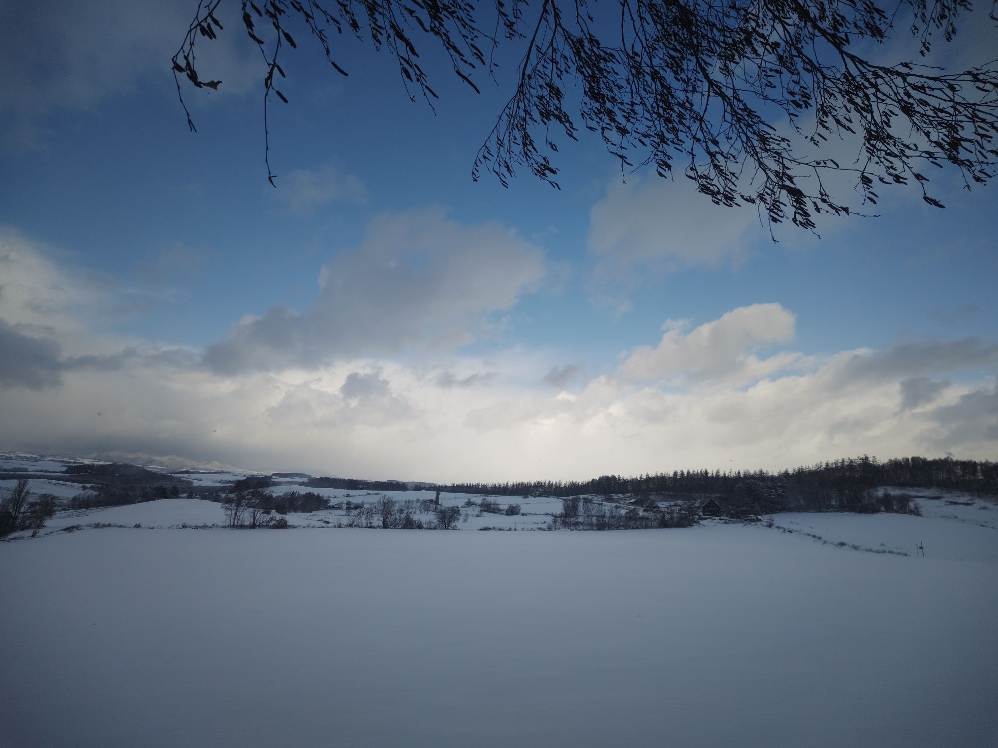 Thumbnail of post image 022