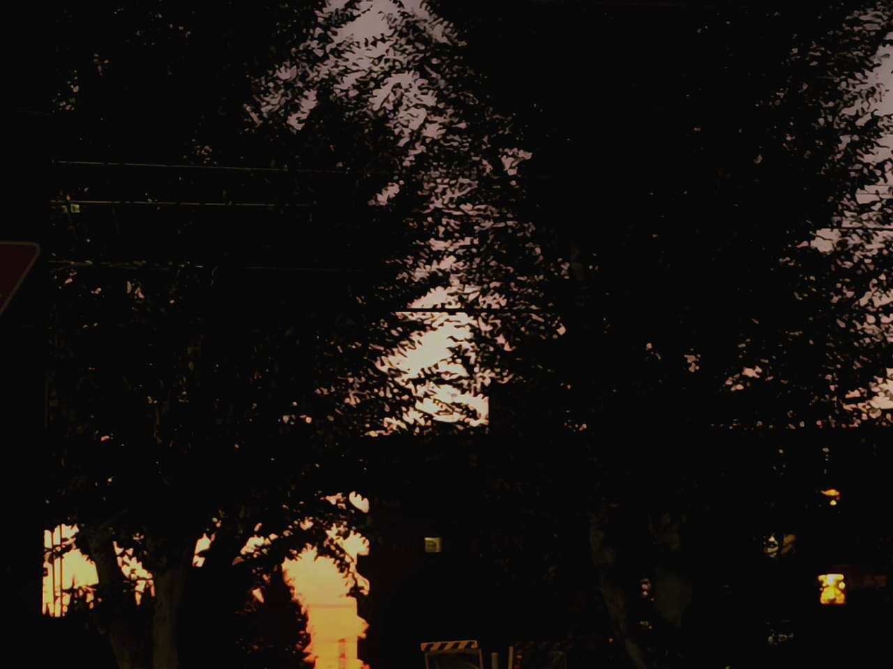 Thumbnail of post image 002