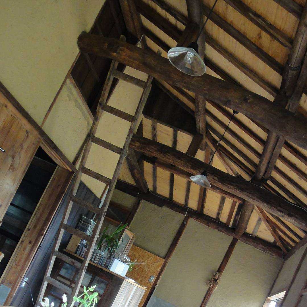 Thumbnail of post image 153