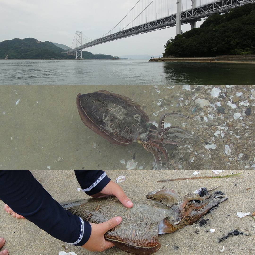 Thumbnail of post image 076