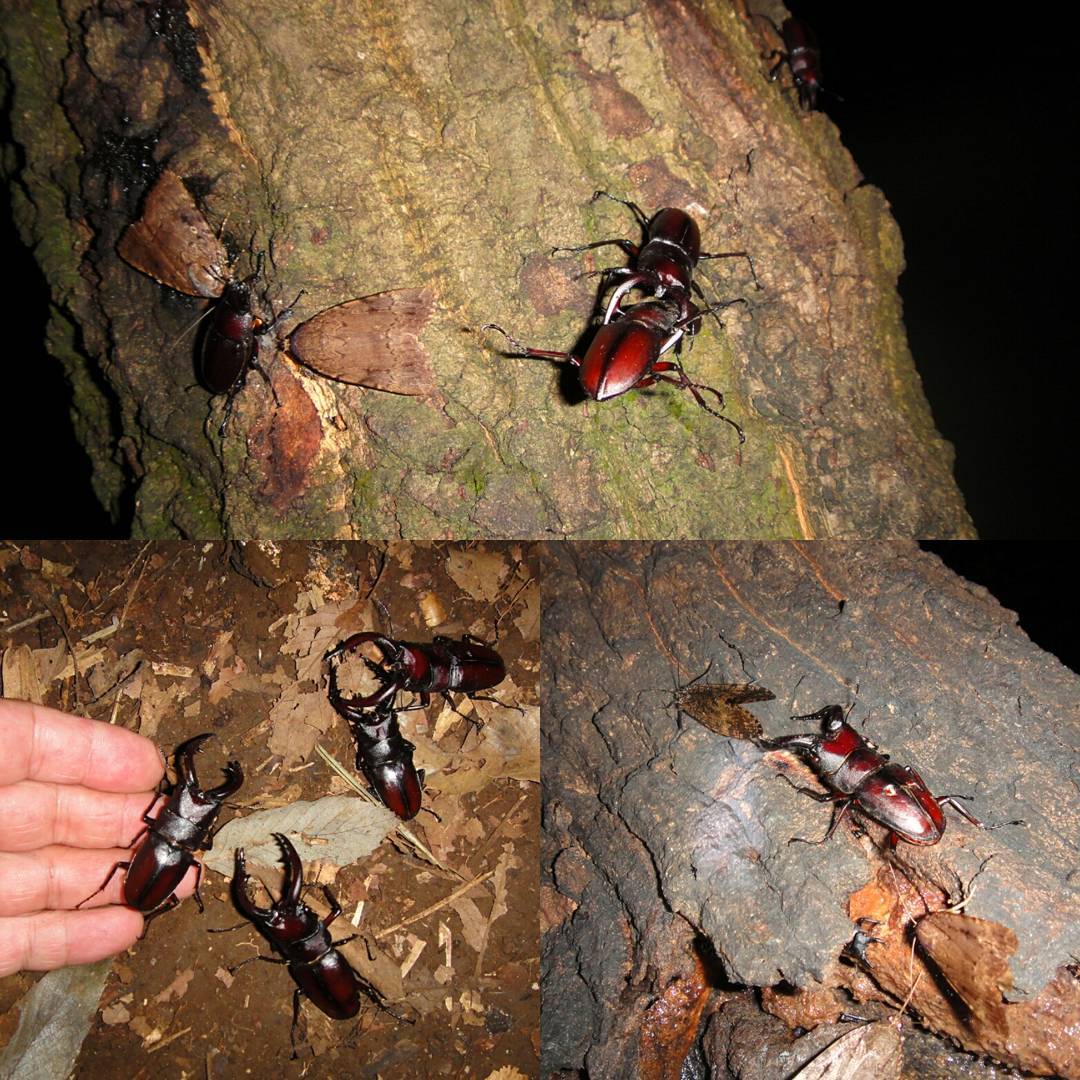 Thumbnail of post image 156