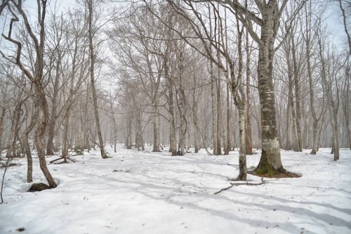 Thumbnail of post image 051