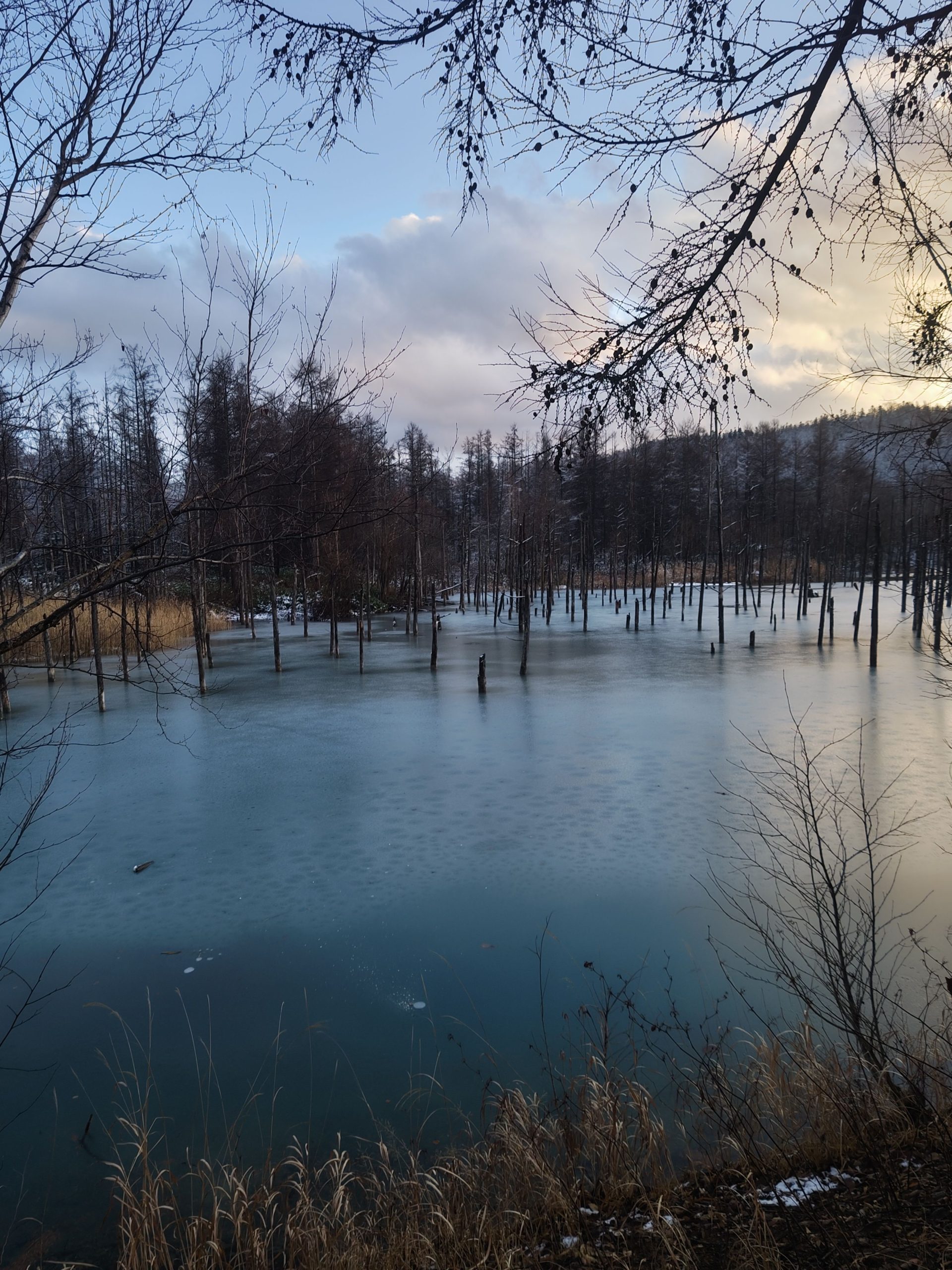 Thumbnail of post image 152