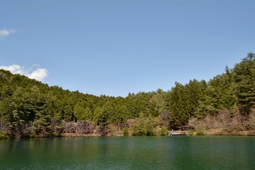 Thumbnail of post image 050