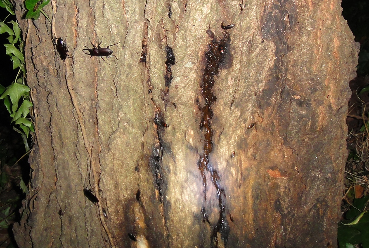 Thumbnail of post image 021