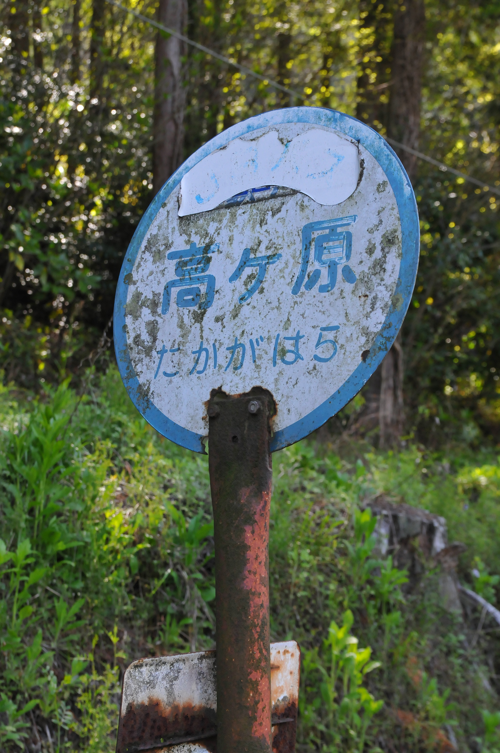 Thumbnail of post image 101