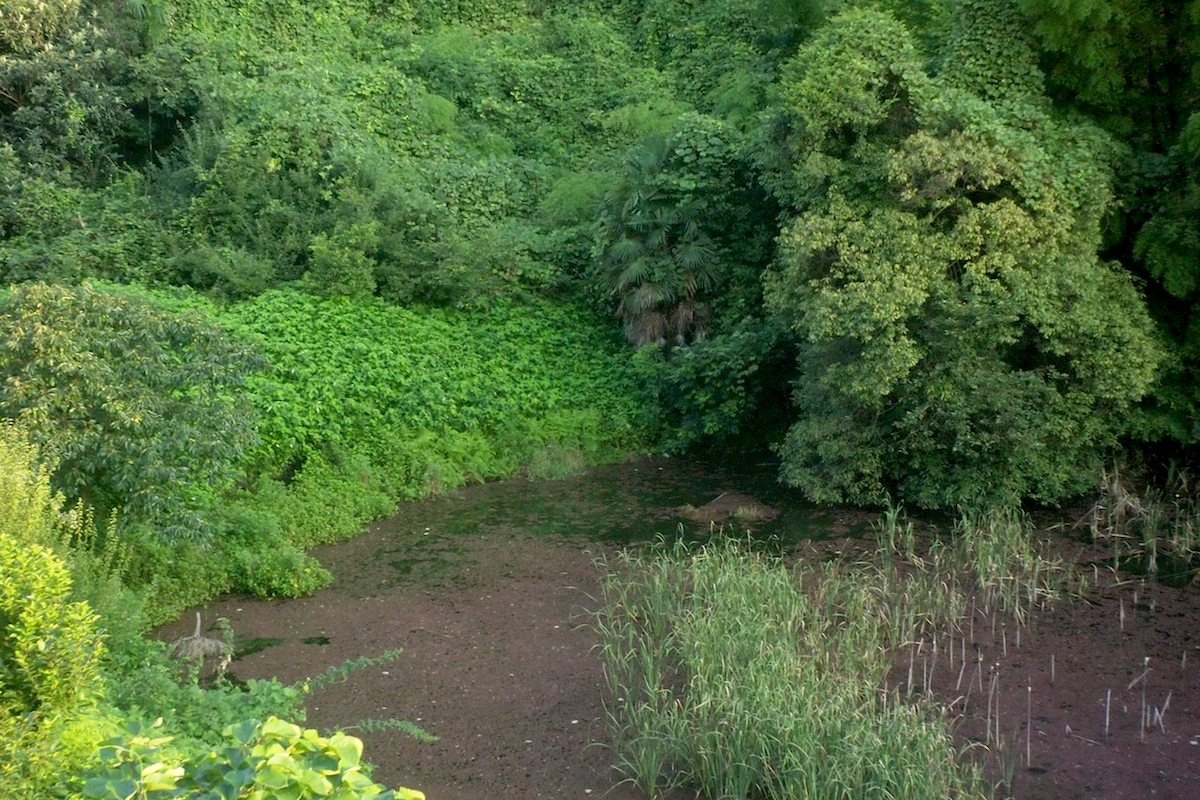 Thumbnail of post image 183