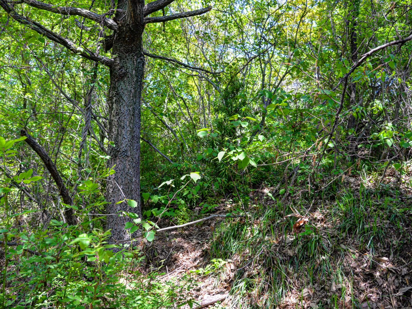 Thumbnail of post image 021