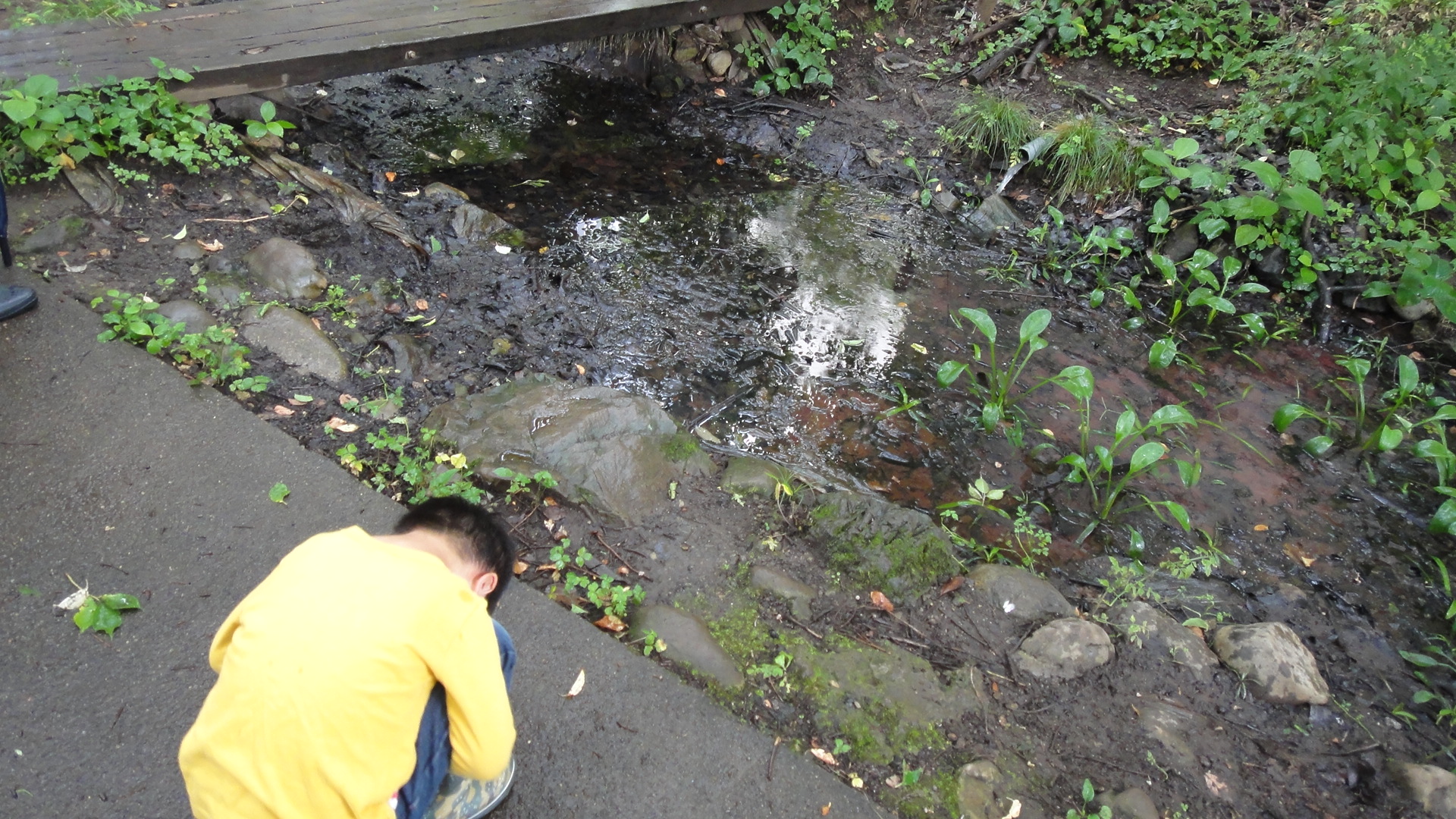 Thumbnail of post image 063