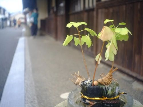 Thumbnail of post image 020