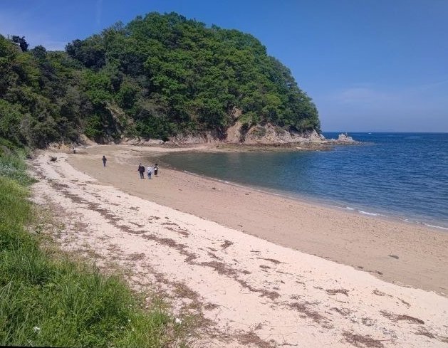 Thumbnail of post image 148